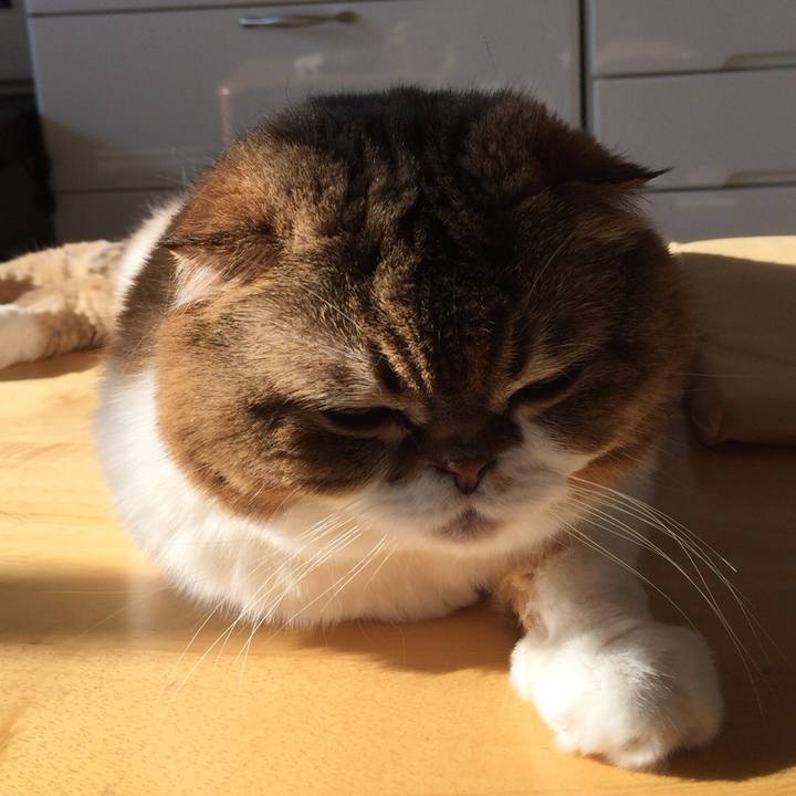 88c4e04a fb67 42d5 ab2c 824210ecce5d