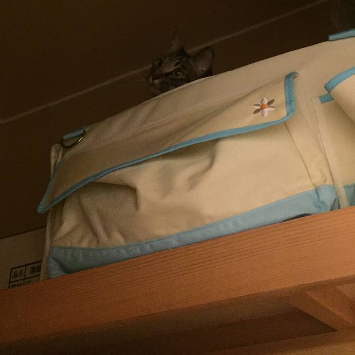 88c59bf3 cb87 47e0 bcf9 5395dfe8a2ec