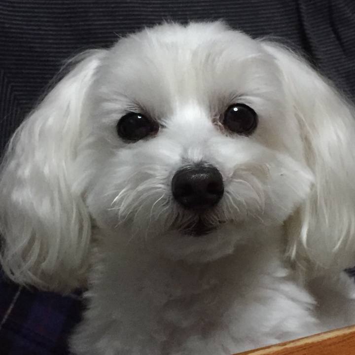 88c63e37 7543 43e4 bc3a 5f8b31dd2ab4