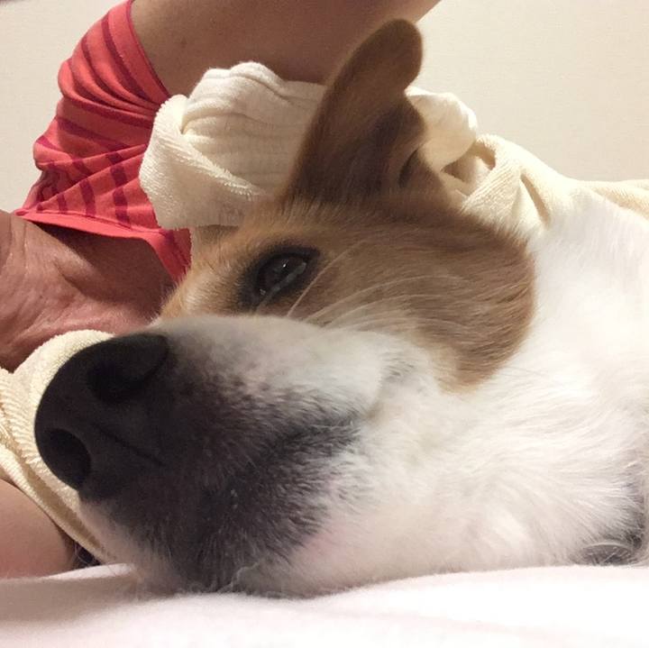 88c73cee aabb 425b 873a 607fbb74aa60