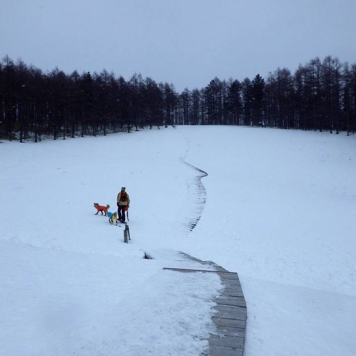 88c792f5 f62a 4d8b ae50 dae5ece3b01a