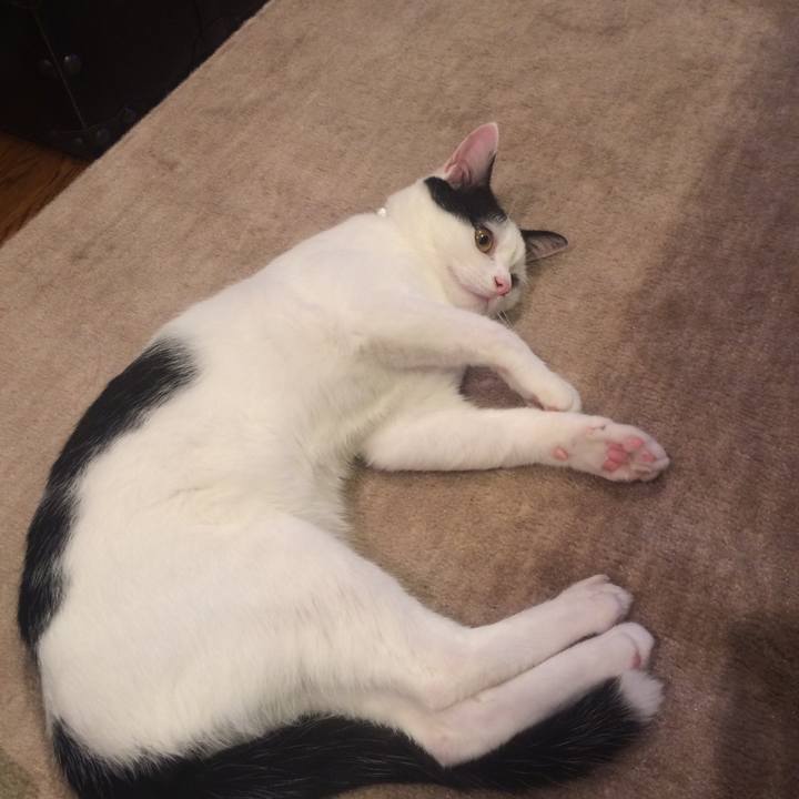 88c84d3e f986 43cc 9ca2 b2cfa9531388