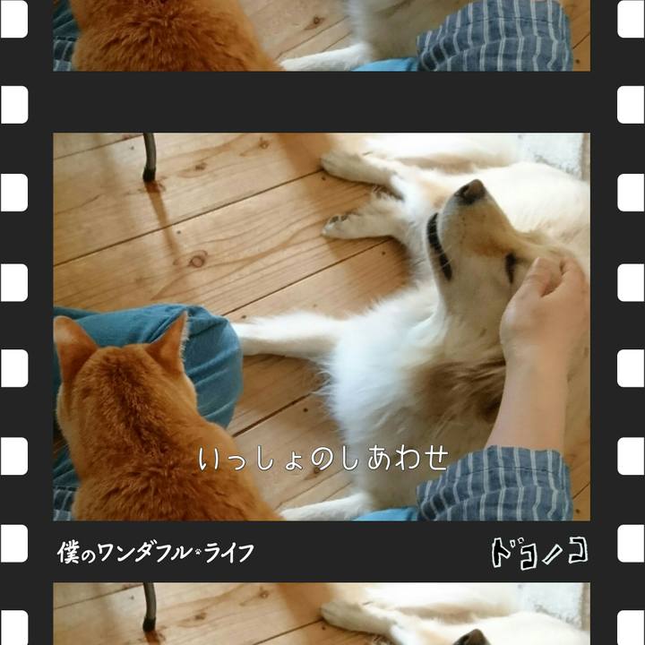 88c88a14 6b7a 4a8f bdf6 1aa14553541c