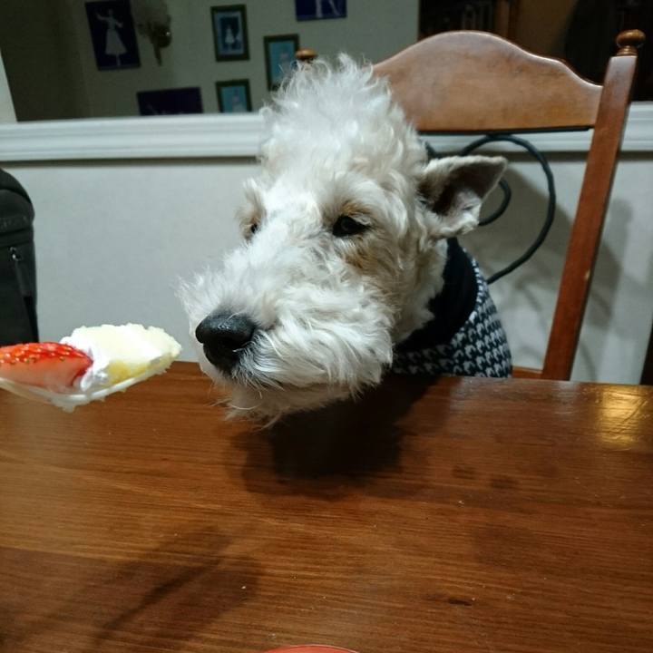 88c891af aab8 4109 909a a3dc45c7a87d