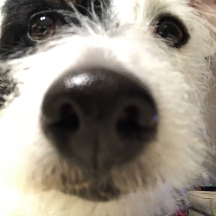 88c92c0a 3e56 43a7 9415 29afd4c069df