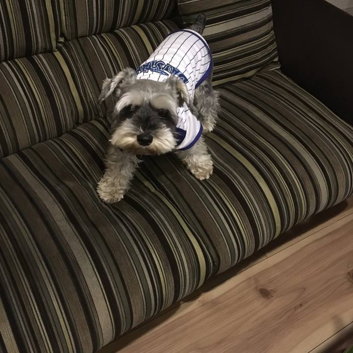 88c92c60 06f4 4640 82e7 48434fdc85f1