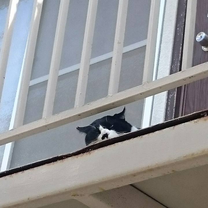 88c9ba47 dbda 440a 9158 eb2a99caa4e8