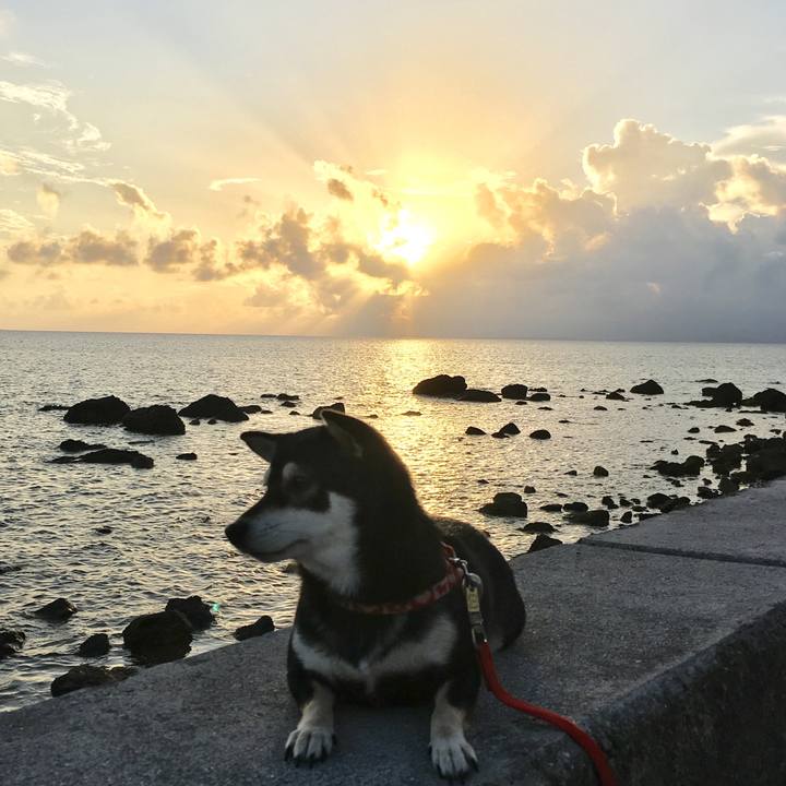 88ca1f14 c545 4676 8210 b55d21dfca85