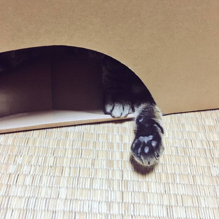 88ca2ed5 dc3e 4c3a bfe0 63e1ca748844