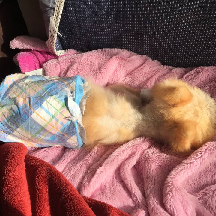 88ca3332 974a 4ae8 b816 3be2ac6004b7