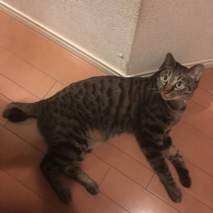 88cb5102 0a04 488e 8056 4b70ab940a1d