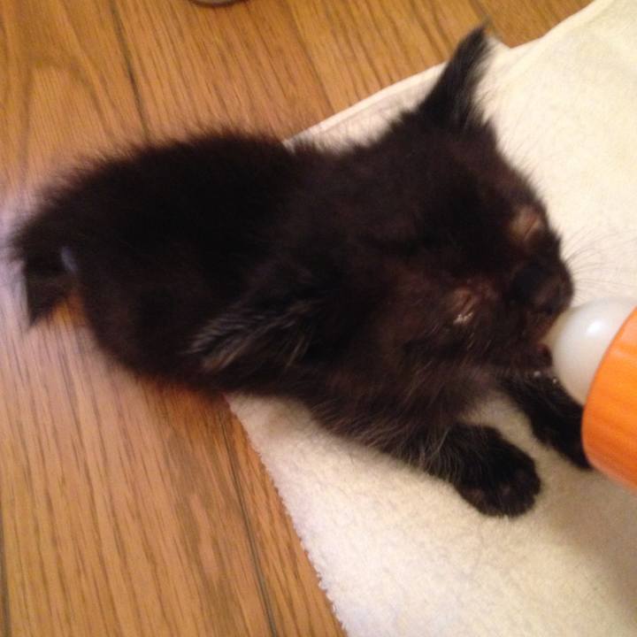 88cbbf3b cb3e 43c0 900a 1b5deaf938fa