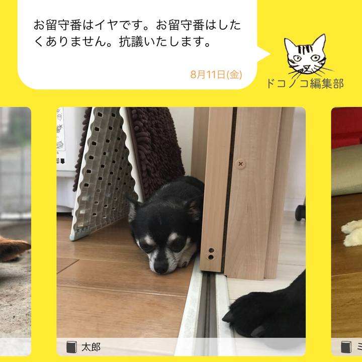 88cc2a63 446e 4f6f a71c 76491edb687f