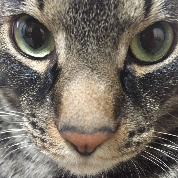 88cccc77 5b5b 498c ac25 1f926838adfa