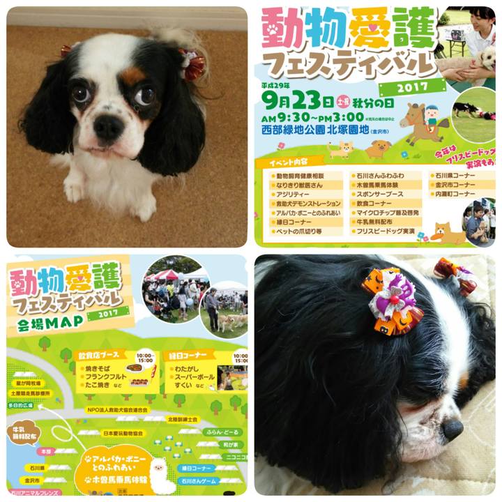 88cd1748 9bdf 422d bc94 26694335f112