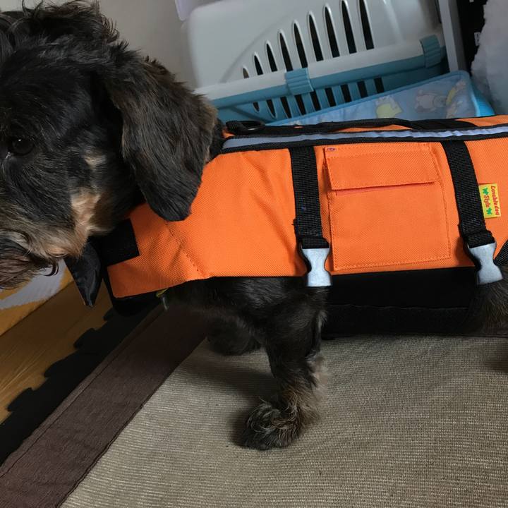 88cddf35 c388 4715 8f38 1d64b3cacf1b