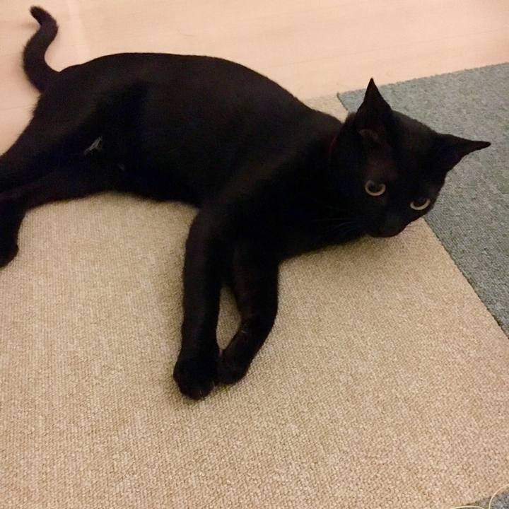 88ce0178 614e 482b a2f2 a8f8b712b50f