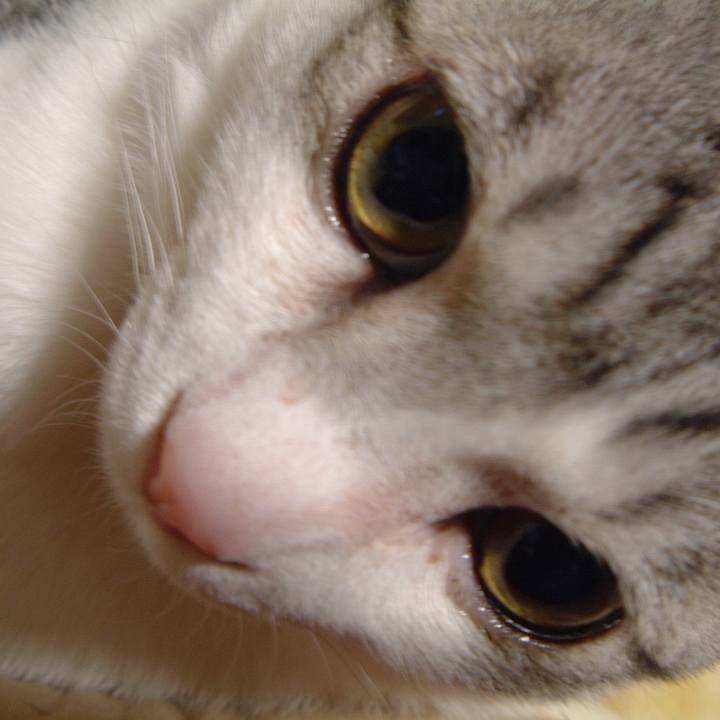 88ce064a 7874 4442 acd6 f0c79bb5566c