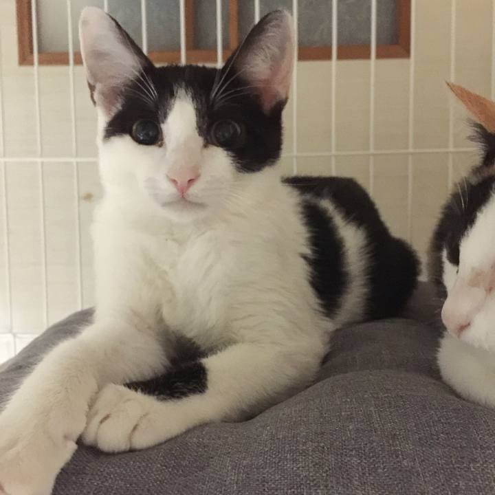 88ce2f17 bbfd 4be6 9dda 6ac35614f2e9