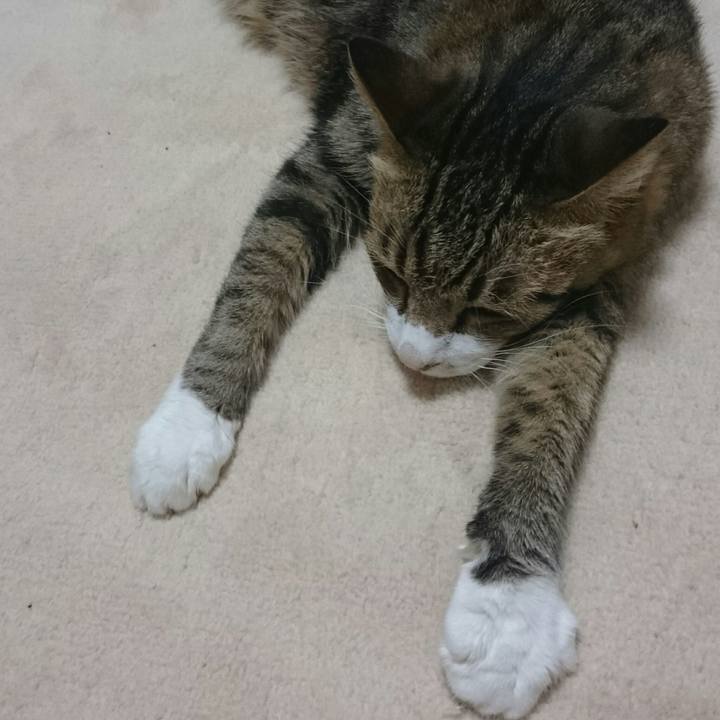 88ce3749 0a9e 4d95 a24d d4635a2ac7f3