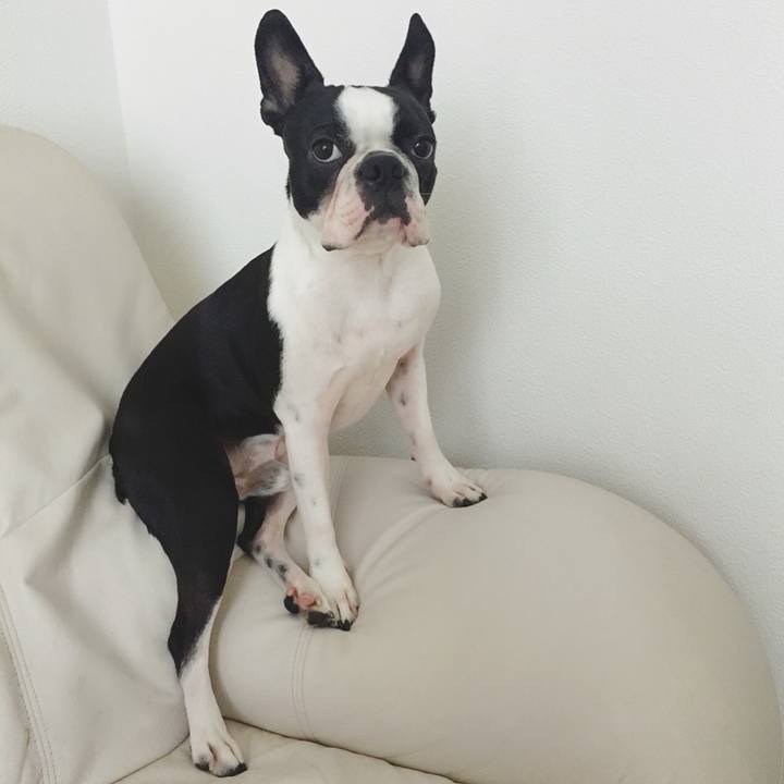 88ce4f61 78ef 4862 b6dc ea07792d36d8