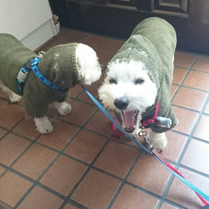 88ce6963 cd87 4856 91f2 516103e27b6d