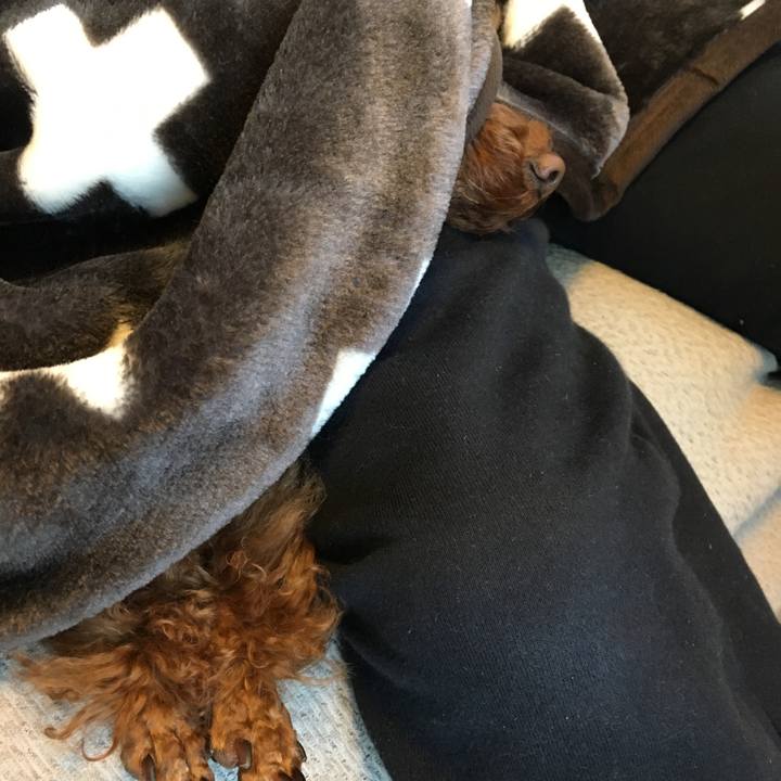 88cefa9f a039 4e6c b5a9 6dfd4d652ebe