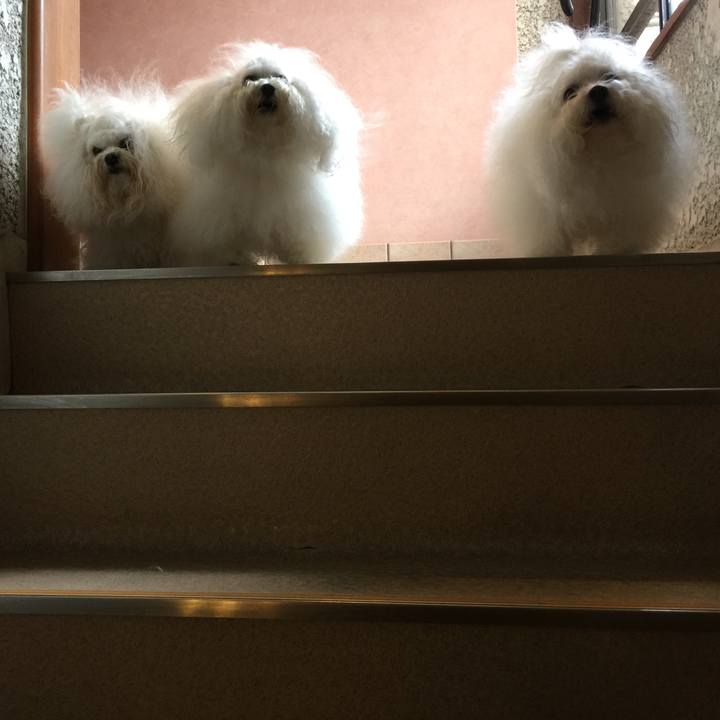 88cf7179 d308 45cb bd6d f0a614d3b858