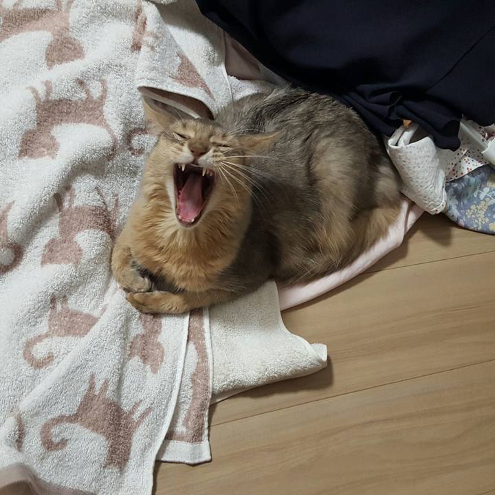 88d020ba 4637 47da 9e63 6f67cc081cb7