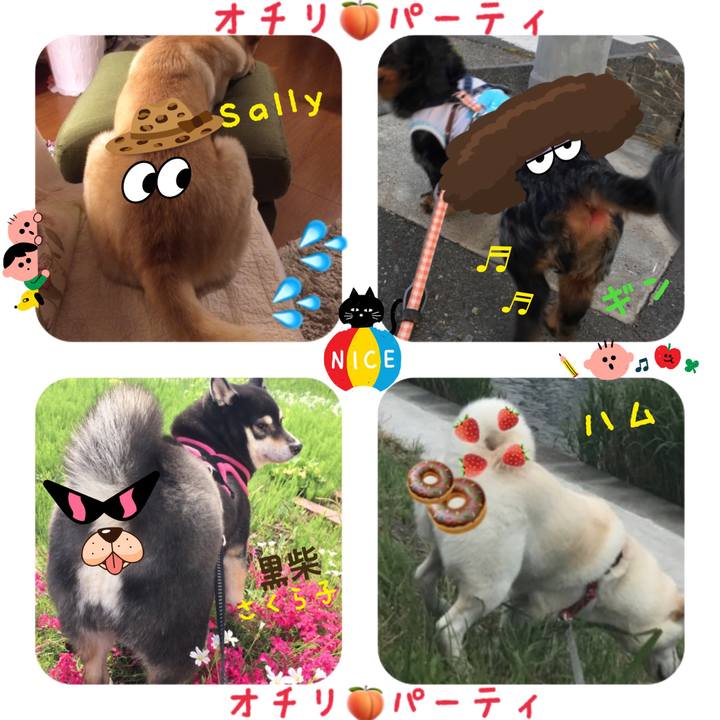 88d04aa3 593b 485c 9079 882a6bd8fb5a