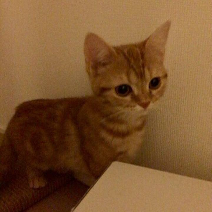 88d0a74e 4c63 434d b858 c8ff50630f6c