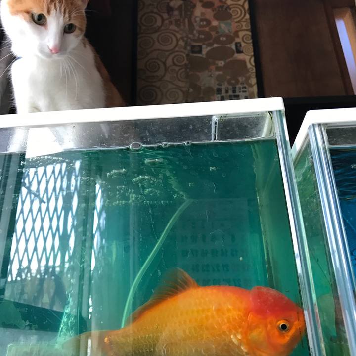 88d10265 33a8 4fbc 80d9 37b8f5c3c678