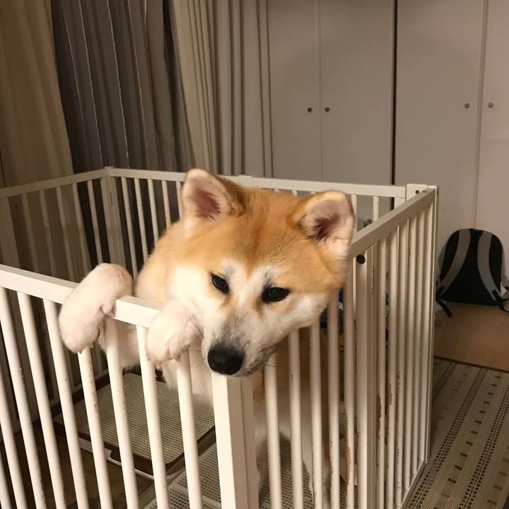 88d274ff 4fb2 4db3 88ef 289b8a503cf0