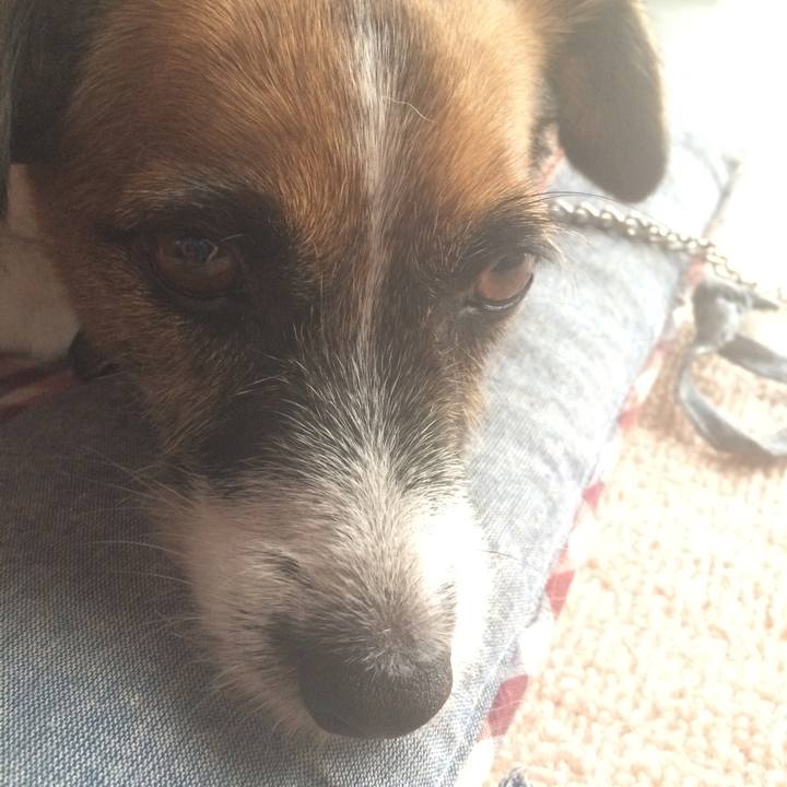 88d299f9 3d5b 4bf0 8069 6bc9c9c6c328