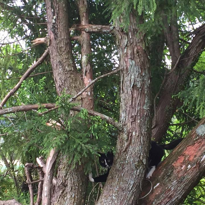 88d344f9 51bd 4d11 9dc6 4449cd9eaf16