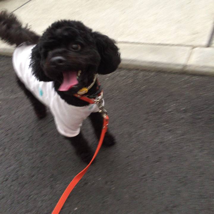 88d365d3 4fe3 46f0 8769 7b4fe50a6e51