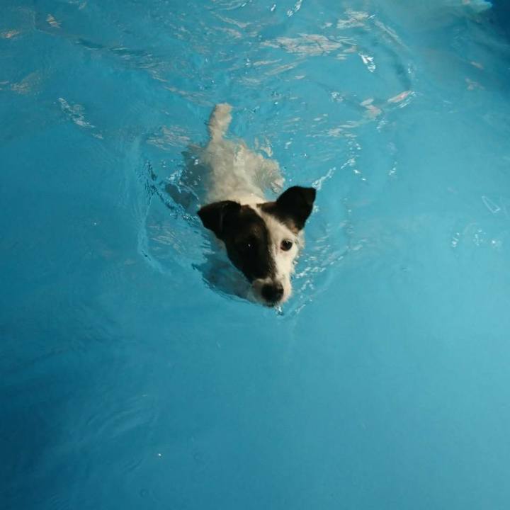 88d36828 c192 4d43 8684 b7fff0a218e7