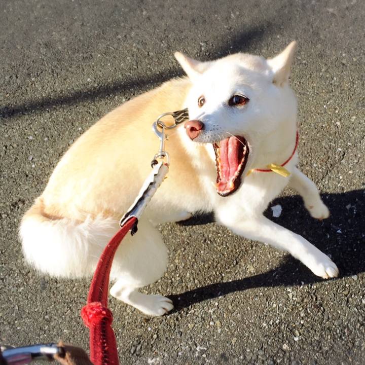 88d3dd8a 06f8 4d49 a16e 517df5ec8da8