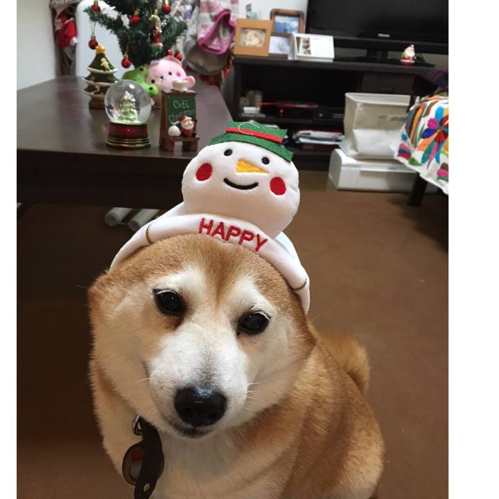 88d4c7ca ed2c 40f0 921c 9f0bf432c892