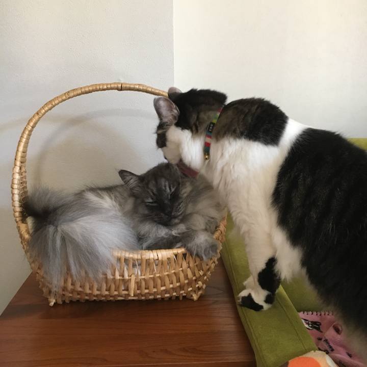 88d5d838 9824 4bfd 949f 5136086a53f9