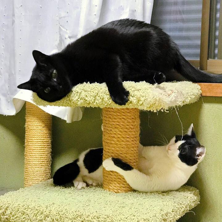 88d5e6d0 76bd 4276 8e37 2e3d65d9f8c7