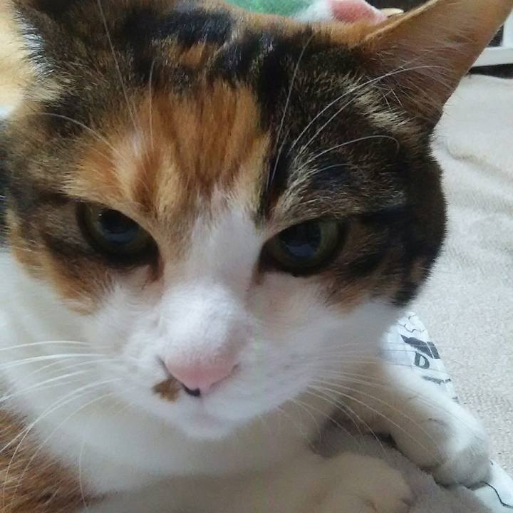 88d60564 30a1 4446 9dc7 2a2d5a5fcbd6