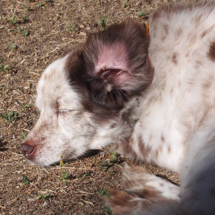 88d650a3 a1d2 497e 902e fb8f38a5732b