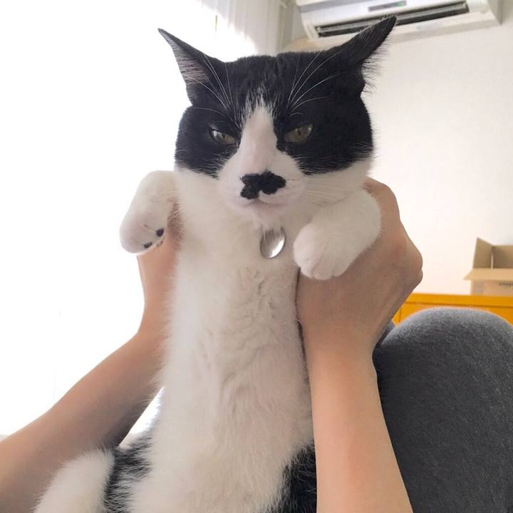 88d69055 b1cf 4e7b 911b 2206154ed8be