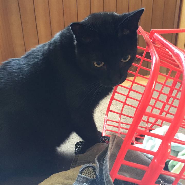 88d6c394 034c 4913 9a19 c494e5e8695b