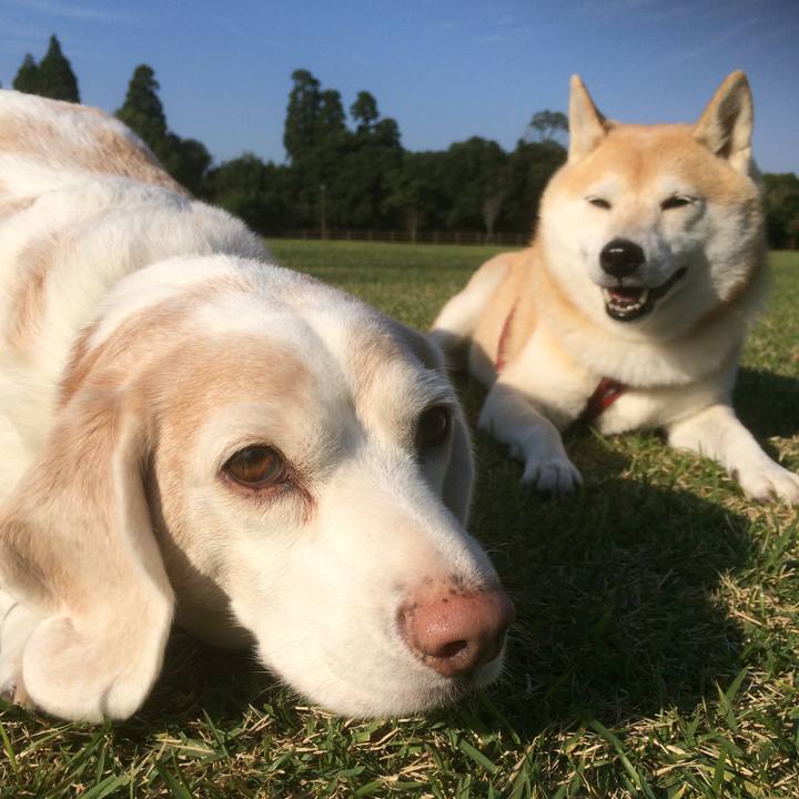 88d7f90f 55c6 4bc7 9056 54f7a80c49fc