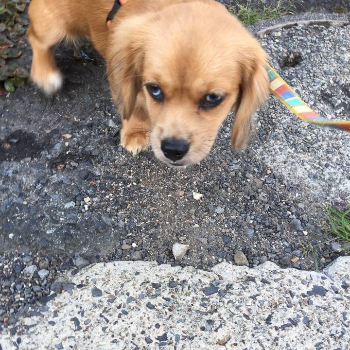 88d7f9d2 8616 4821 b793 af619a19b014