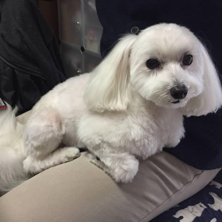 88d7fc0b c3ff 42d2 a650 1c7211ba77c6