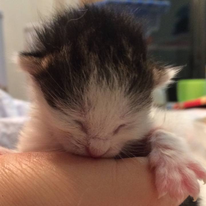 88d82400 b452 4a69 9f90 a62b1b559677