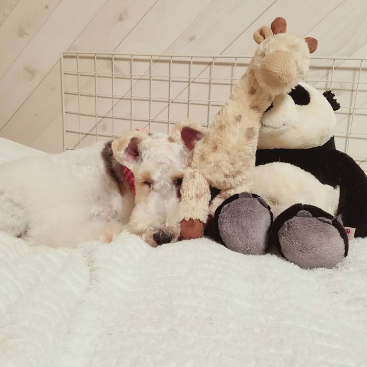 88d85b2f 98a0 4415 9d63 447f51325da6